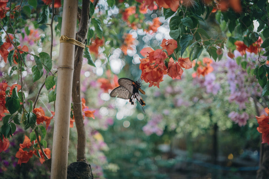 What are the best florists in or near Wetmore, Colorado?