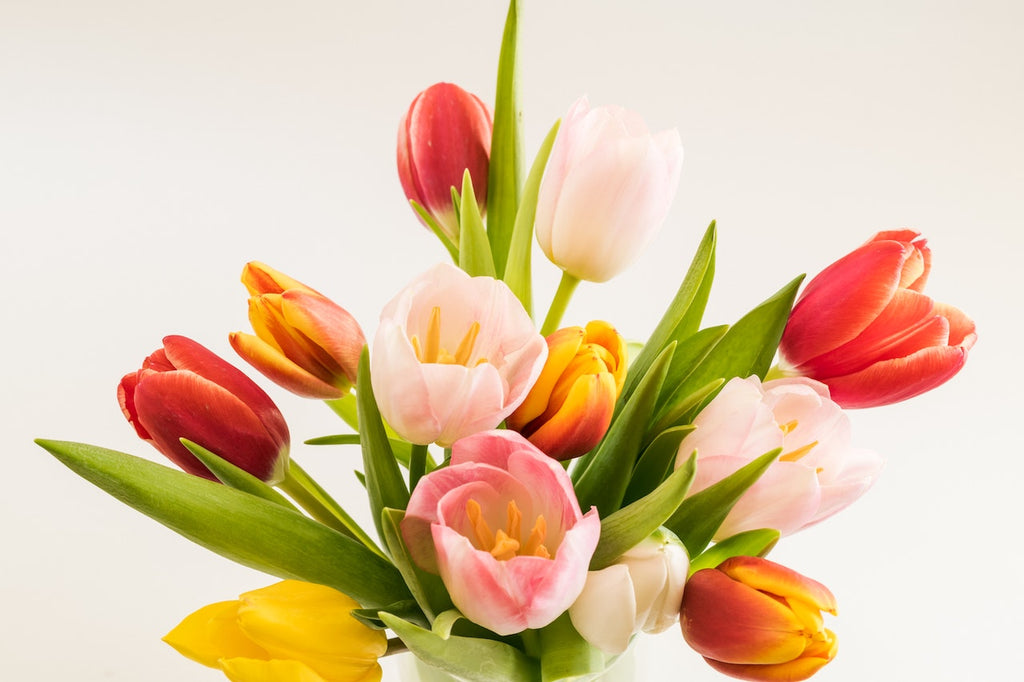 What are the best florists in or near Albertson, New York?