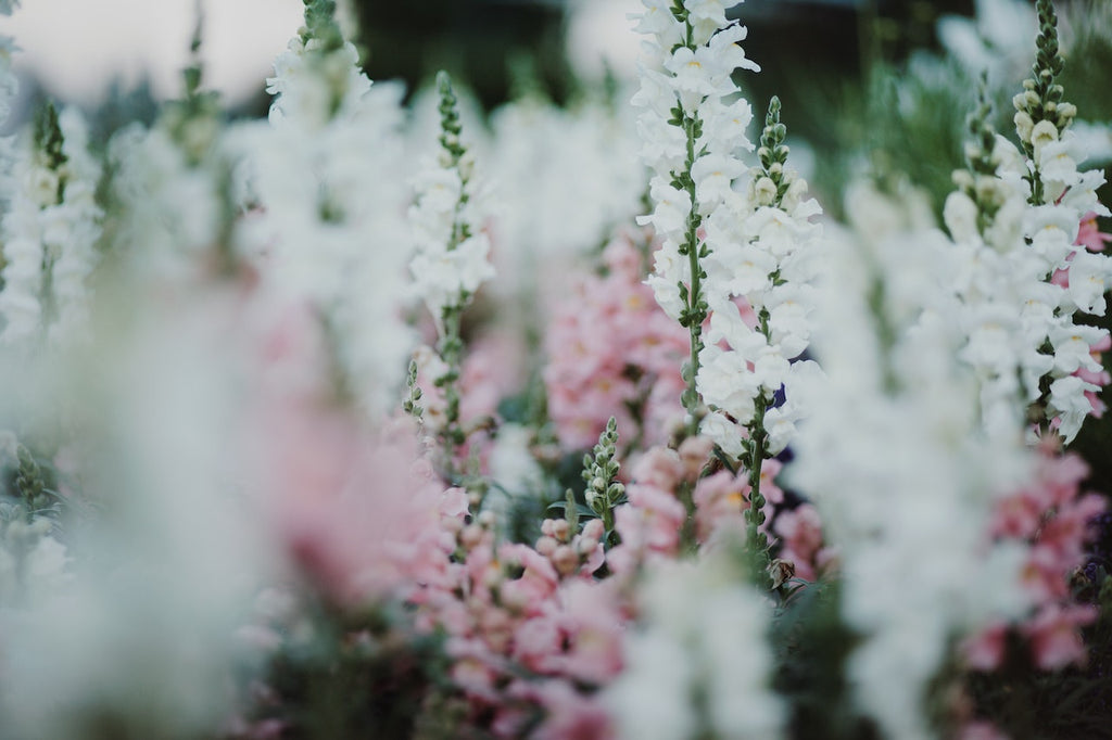 What are the best florists in or near Trotters, North Dakota?