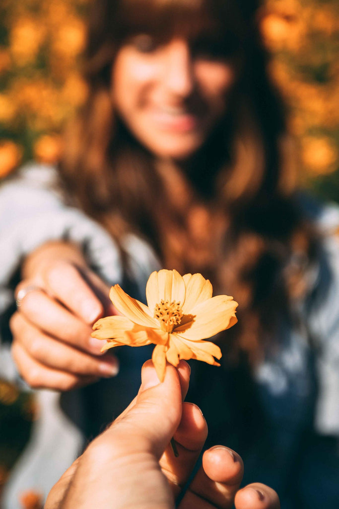 What are the best florists in or near Alfred, New York? 