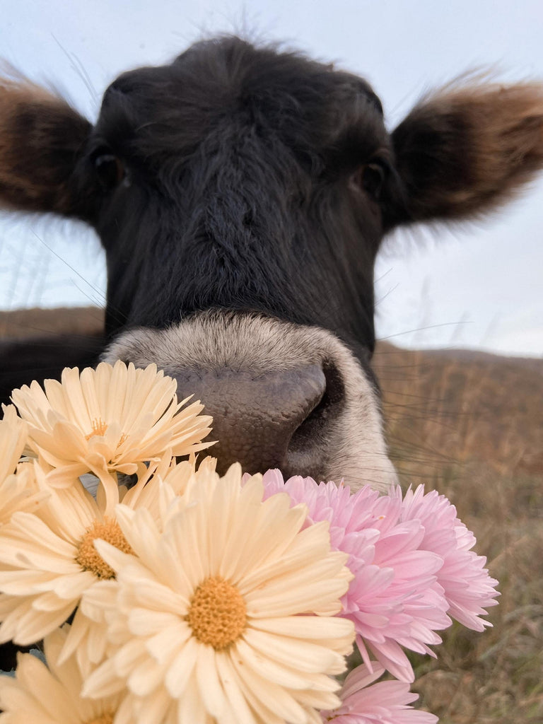 What are the best florists in or near Lakewood, Washington? 