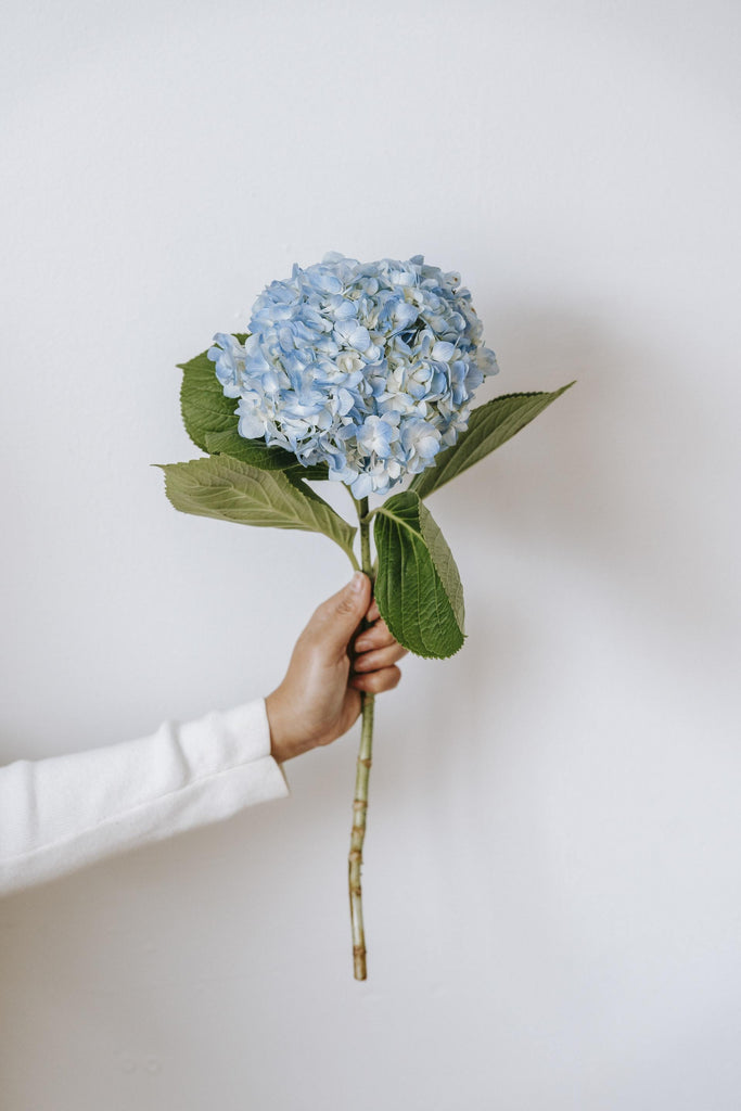 What are the best florists in or near West Haven, Connecticut? 